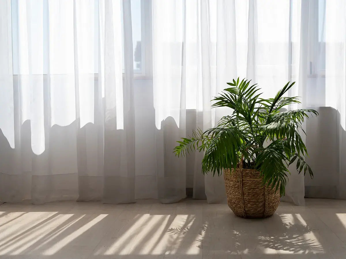Sheer curtains: how to choose right style, size and material